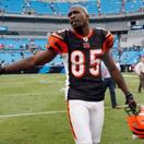 Chad Ochocinco Johnson