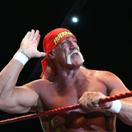 Hulk Hogan