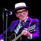 Elvis Costello Net Worth