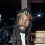 Bunny Wailer Net Worth