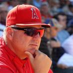 Mike Scioscia Net Worth