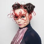 Björk Net Worth