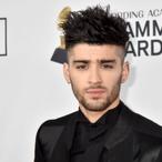 Zayn Malik Net Worth