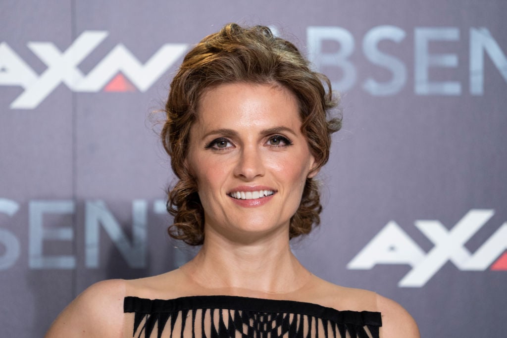 Stana Katic Net Worth