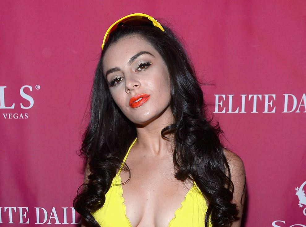 Charli XCX Net Worth Celebrity Net Worth